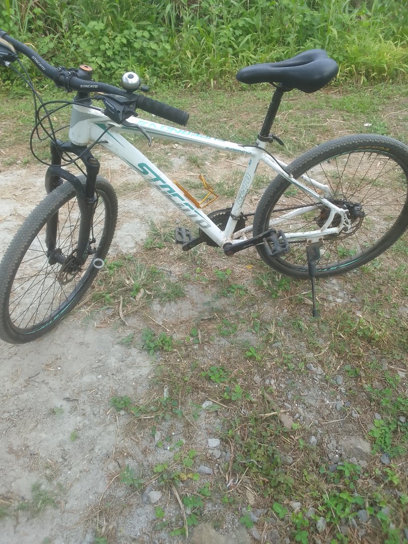 Bicicleta